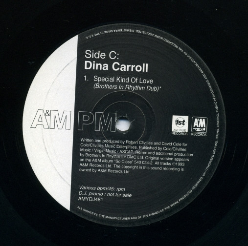 Dina Carroll - Here / Special Kind Of Love / The Perfect Year | A&M PM (AMYDJ481) - 4 Dina Carroll - Here / Special Kind Of Love / The Perfect Year | A&M PM (AMYDJ481) - 4