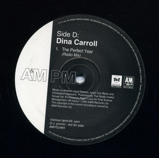 Dina Carroll - Here / Special Kind Of Love / The Perfect Year | A&M PM (AMYDJ481) - 5 Dina Carroll - Here / Special Kind Of Love / The Perfect Year | A&M PM (AMYDJ481) - 5