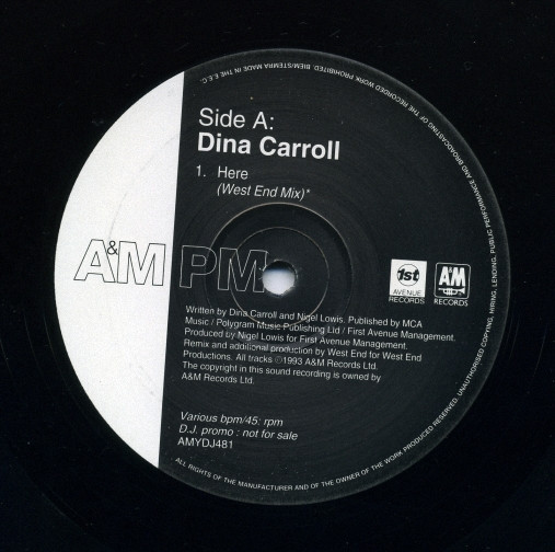 Dina Carroll - Here / Special Kind Of Love / The Perfect Year | A&M PM (AMYDJ481) - 2 Dina Carroll - Here / Special Kind Of Love / The Perfect Year | A&M PM (AMYDJ481) - 2