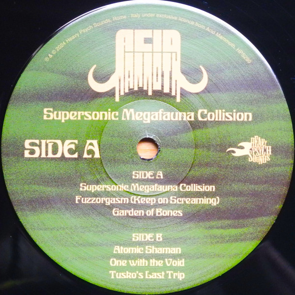 Acid Mammoth - Supersonic Megafauna Collision | Heavy Psych Sounds (HPS299) - 4