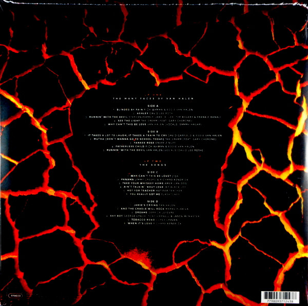 Various - The Many Faces Of Van Halen | Music Brokers (VYN029) - 2