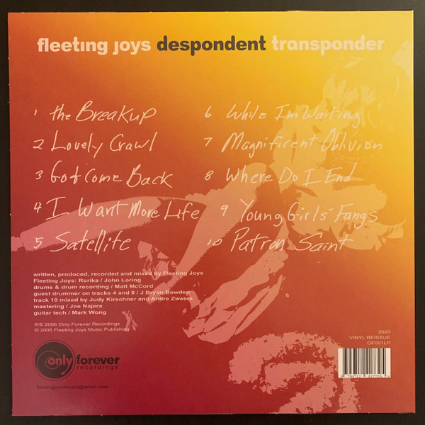 Despondent Transponder