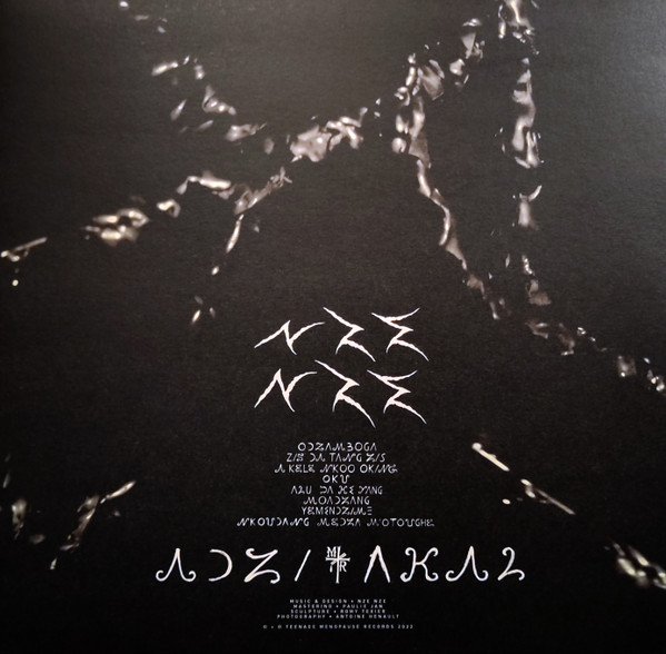 Nze Nze - Adzi Akal | Teenage Menopause Records (TMR041)