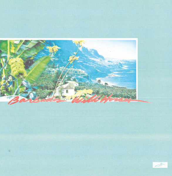 Monopoly Child Star Searchers & Sun Araw - Barbados Wild Horses | Pacific City Discs (PCD_09) Monopoly Child Star Searchers & Sun Araw - Barbados Wild Horses | Pacific City Discs (PCD_09)