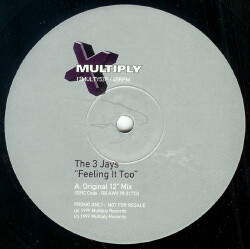 The 3 Jays - Feeling It Too | Multiply Records (12MULTY53P)