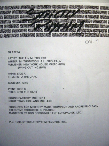 The A.N.M. Project - Into The Dark | Strictly Rhythm (SR 12294) - 2