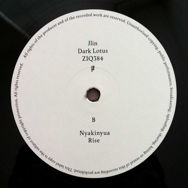 Jlin - Dark Lotus | Planet Mu (ZIQ384) - 4