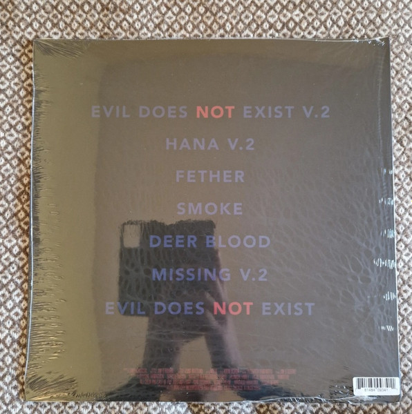 Eiko Ishibashi - Evil Does Not Exist | Drag City (DC934) - 3