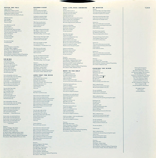 The Dolphin Brothers - Catch The Fall | Virgin (V2434) - 6 The Dolphin Brothers - Catch The Fall | Virgin (V2434) - 6