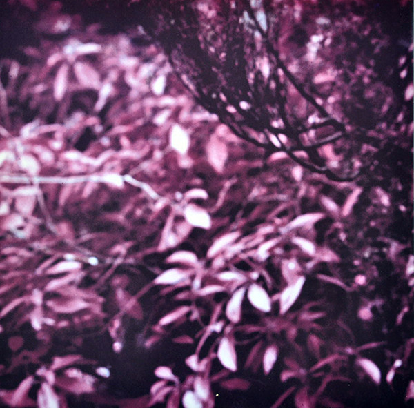 The Dolphin Brothers - Catch The Fall | Virgin (V2434) - 5 The Dolphin Brothers - Catch The Fall | Virgin (V2434) - 5