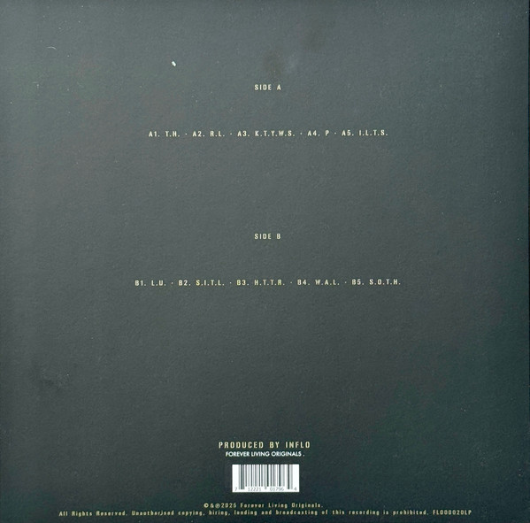 Sault - 10 | Forever Living Originals (FLO00020LP) - 2