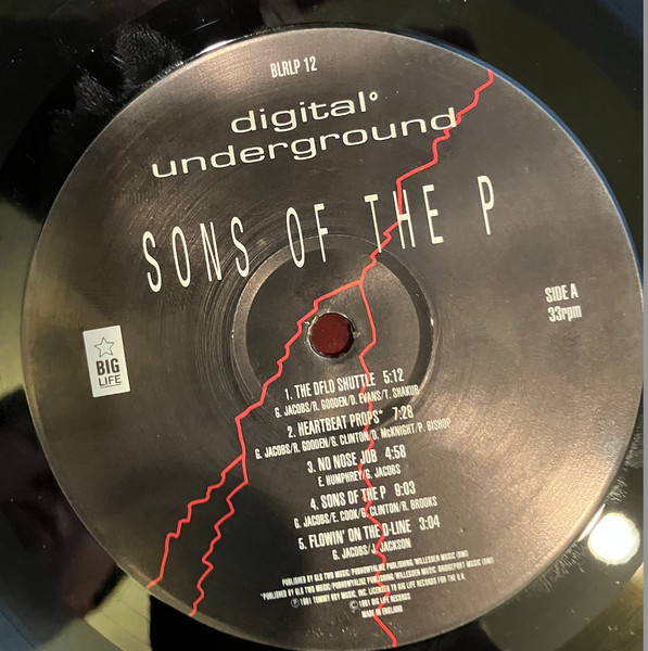 Digital Underground - Sons Of The P | Big Life (BLRLP 12) - 4