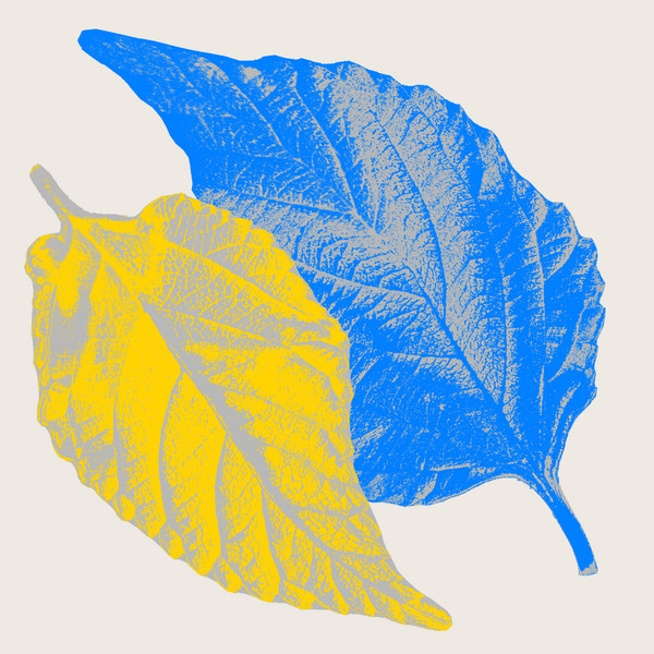 Pau Roca Feat. Laura Elle - Your Energy | Escola (ESC 003)