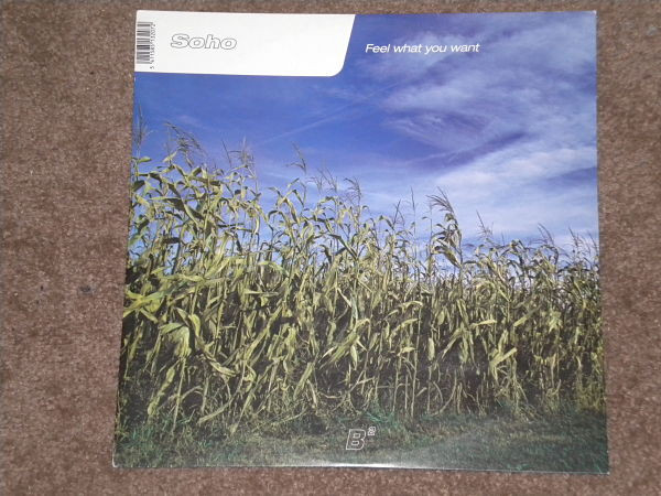 Soho - Feel What You Want | B² (BB 030207-12)