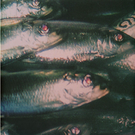 Fazer - Nadi | Squama (SQM001)