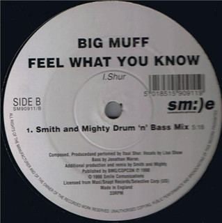 Big Muff - Feel What You Know | Sm:)e Communications (SM-90911)