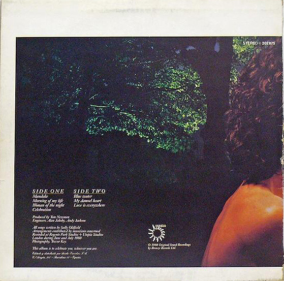 Sally Oldfield - Celebration | Bronze (I-202 875) - 2