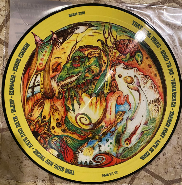 King Gizzard And The Lizard Wizard - Teenage Gizzard | Official Bootlegger! K.G.L.W. (ORGM-2210) - 2 King Gizzard And The Lizard Wizard - Teenage Gizzard | Official Bootlegger! K.G.L.W. (ORGM-2210) - 2