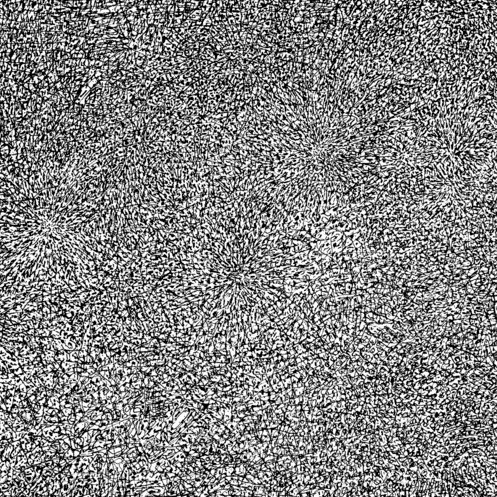 Ekman - Entropy | The Trilogy Tapes (TTT030)