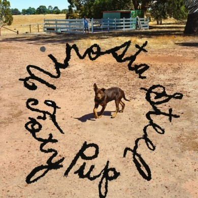 Nirosta Steel - Foxy Pup | Hollie Records (HR005) - main Nirosta Steel - Foxy Pup | Hollie Records (HR005) - main