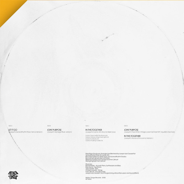 Patrick Gibin - Let It Go / Joint Purpose / In This Together (The Joaquin Joe Claussell Remixes) | Mother Tongue Records (MT19021) - 2 Patrick Gibin - Let It Go / Joint Purpose / In This Together (The Joaquin Joe Claussell Remixes) | Mother Tongue Records (MT19021) - 2