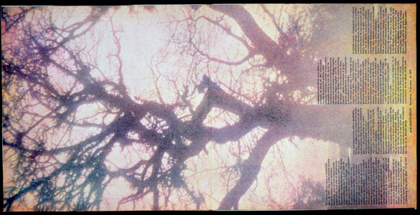 Lluis Llach - Com Un Arbre Nu (Como Un Arbol Desnudo) | Movieplay (S-30031) - 3