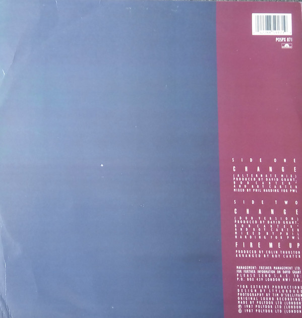 David Grant - Change (Alternate Mix) | Polydor (POSPX 871)