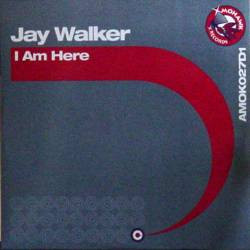 J K Walker - I Am Here | Mohawk Records (AMOK027D1)