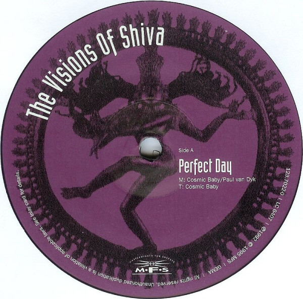 The Visions Of Shiva - Perfect Day | MFS (MFS 7022-0) - 3