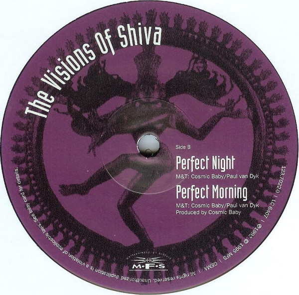 The Visions Of Shiva - Perfect Day | MFS (MFS 7022-0) - 4