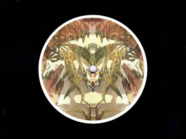 Birds Ov Paradise - Part 2: Savannah | Hypnus Records (HYPNUS020) - 3 Birds Ov Paradise - Part 2: Savannah | Hypnus Records (HYPNUS020) - 3