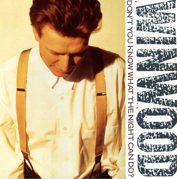 Steve Winwood - Don't You Know What The Night Can Do? | Virgin (VINX 222)