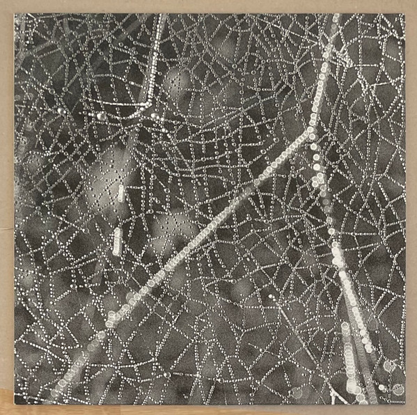 Robin Stewart - Crinkle | The Trilogy Tapes (TTT111)