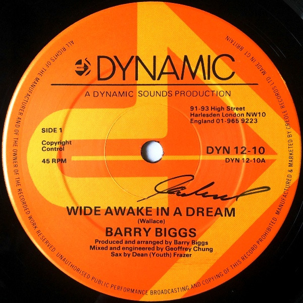 Barry Biggs - Wide Awake In A Dream | Dynamic Sounds (DYN 12-10)