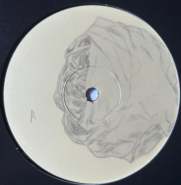 Annelies Monseré - I Sigh, I Resign | Horn of Plenty <O (hop 25) - 2