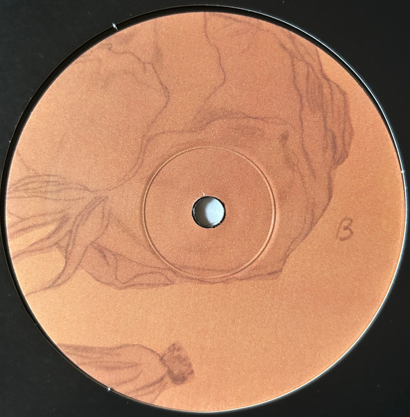 Annelies Monseré - I Sigh, I Resign | Horn of Plenty <O (hop 25) - 3