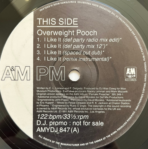 Overweight Pooch Featuring Ce Ce Peniston - I Like It | A&M PM (AMYDJ 847)