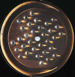 Saffron - Solitaire | Not On Label (SAFF 1) - 2