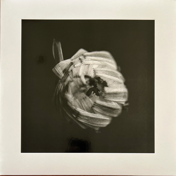 A Swarm Of The Sun - An Empire | Pelagic Records (PEL 268-V)