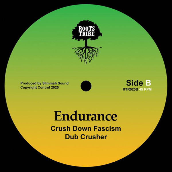 Lyrical Benjie , Sista 'Omi , Endurance , Slimmah Sound - Roots And Culture / Crush Down Fascism | Roots Tribe (RTR020) - 2