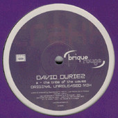 David Duriez - Tribe Of The Waves | Brique Rouge Traxx (BRT009) - main