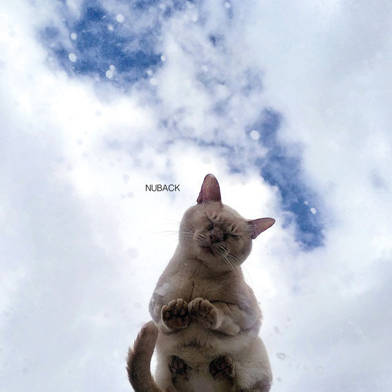 Nuback - When The Party Is Over | Growing Bin Records (GBR030)