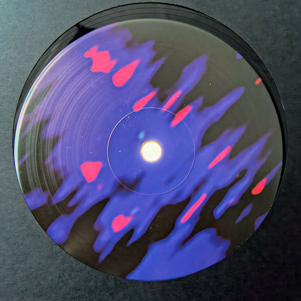 Valentino Mora - Biotope | Spazio Disponibile (SPAZIO031) - 4