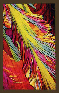 Bitchin Bajas - Bitchitronics | Drag City (DC-560CS)