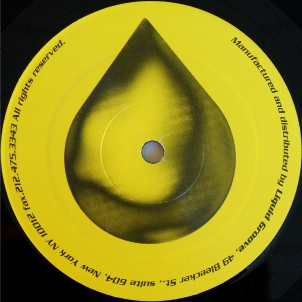 Dangerous Minds - Live In Unity | Liquid Groove (LG 0003)