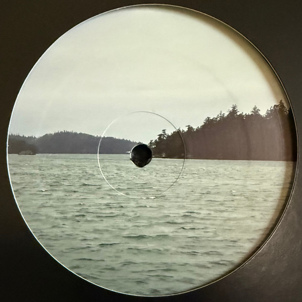 Various - Passing Currents | Central Scientific (CS203) - 3
