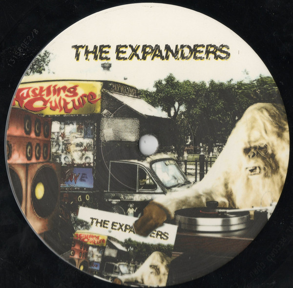 The Expanders - Hustling Culture | Easy Star Records (ES-1050V) - 2