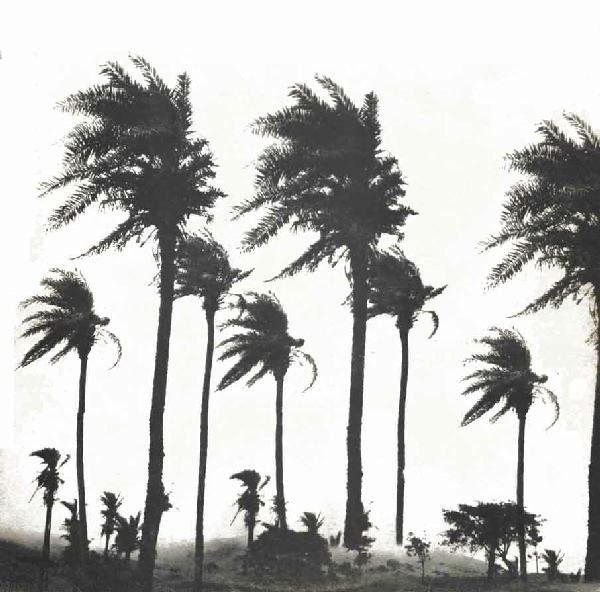 Magazzini Criminali - Crollo Nervoso | Italian Records (TIXE 003) - main