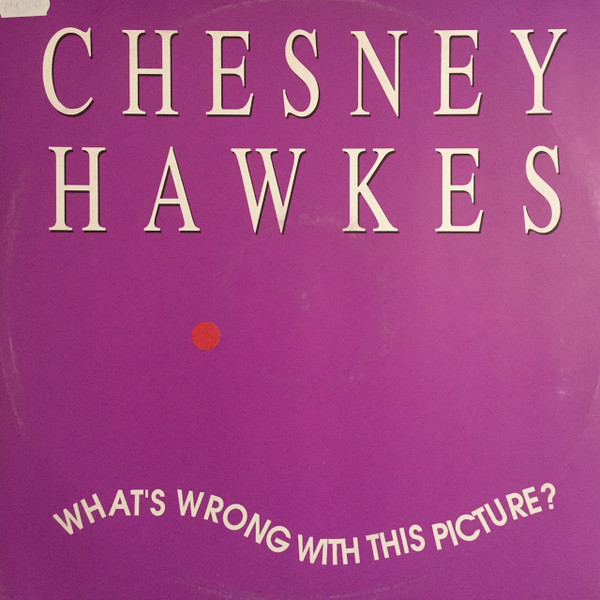 Chesney Hawkes - What's Wrong With This Picture | Chrysalis (3 23979 6)