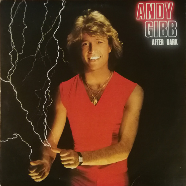 Andy Gibb - After Dark | RSO (RS-1-3069)